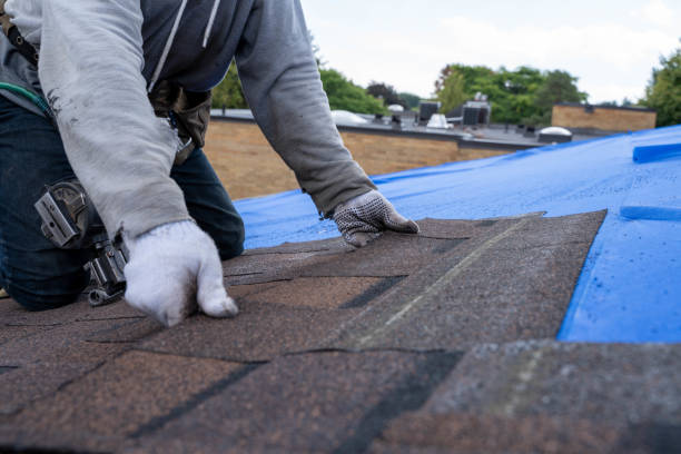 Best Gutter Installation and Roofing  in Columbia, MS